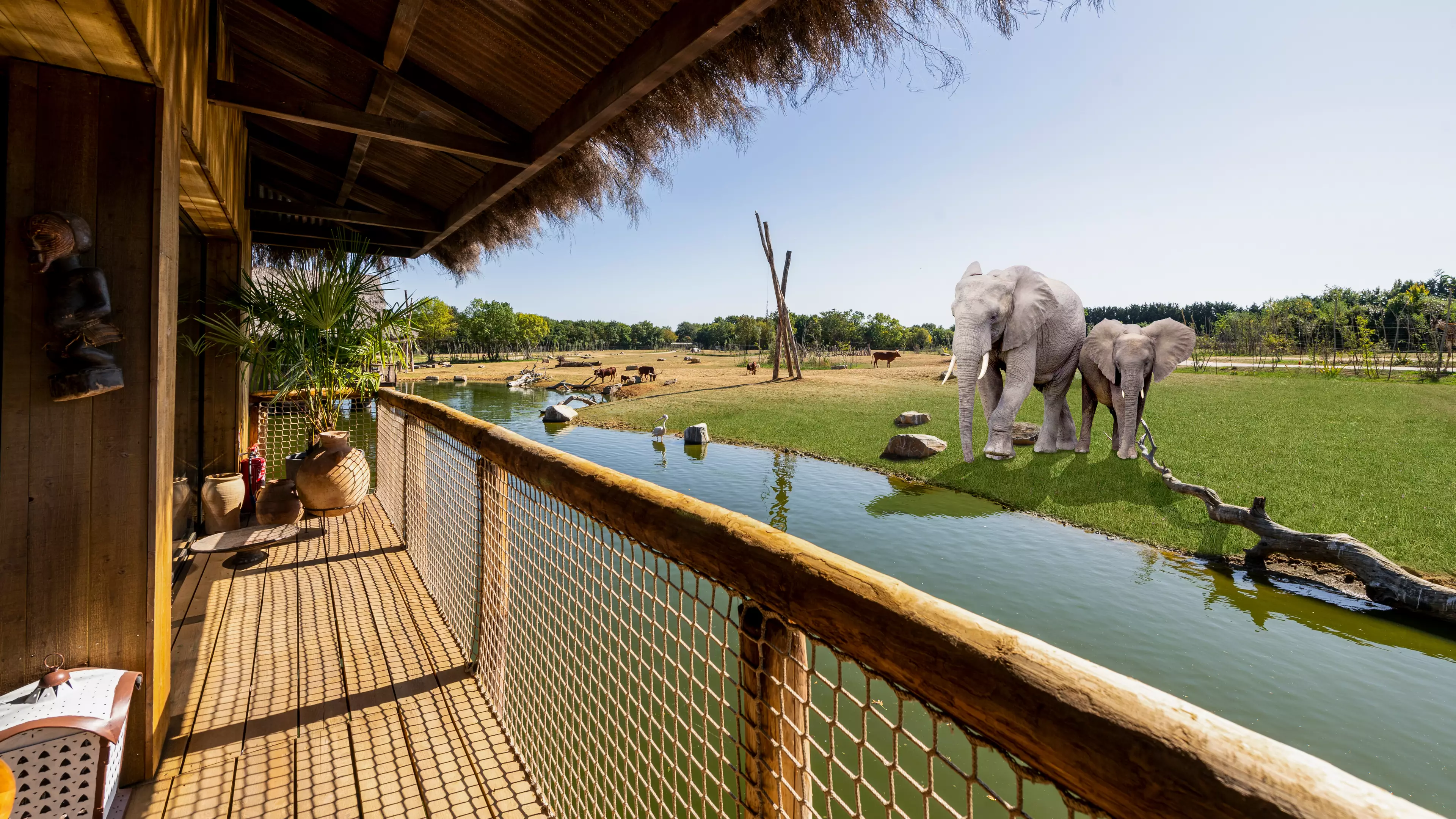 Luxury UK Safari Park Lodges Offering Stays With Elephants And Cheetahs 