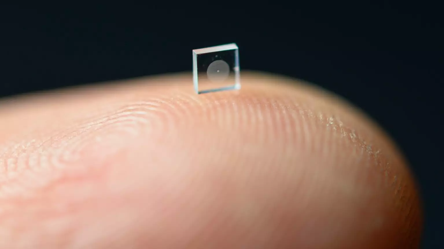 Tiny Camera The Size Of A Grain Of Salt Can Take Incredible Pictures