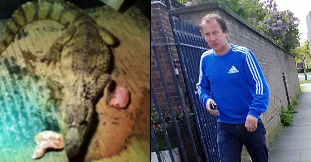 Police Hunting UK Man Who Kept Crocodile In His Bedroom
