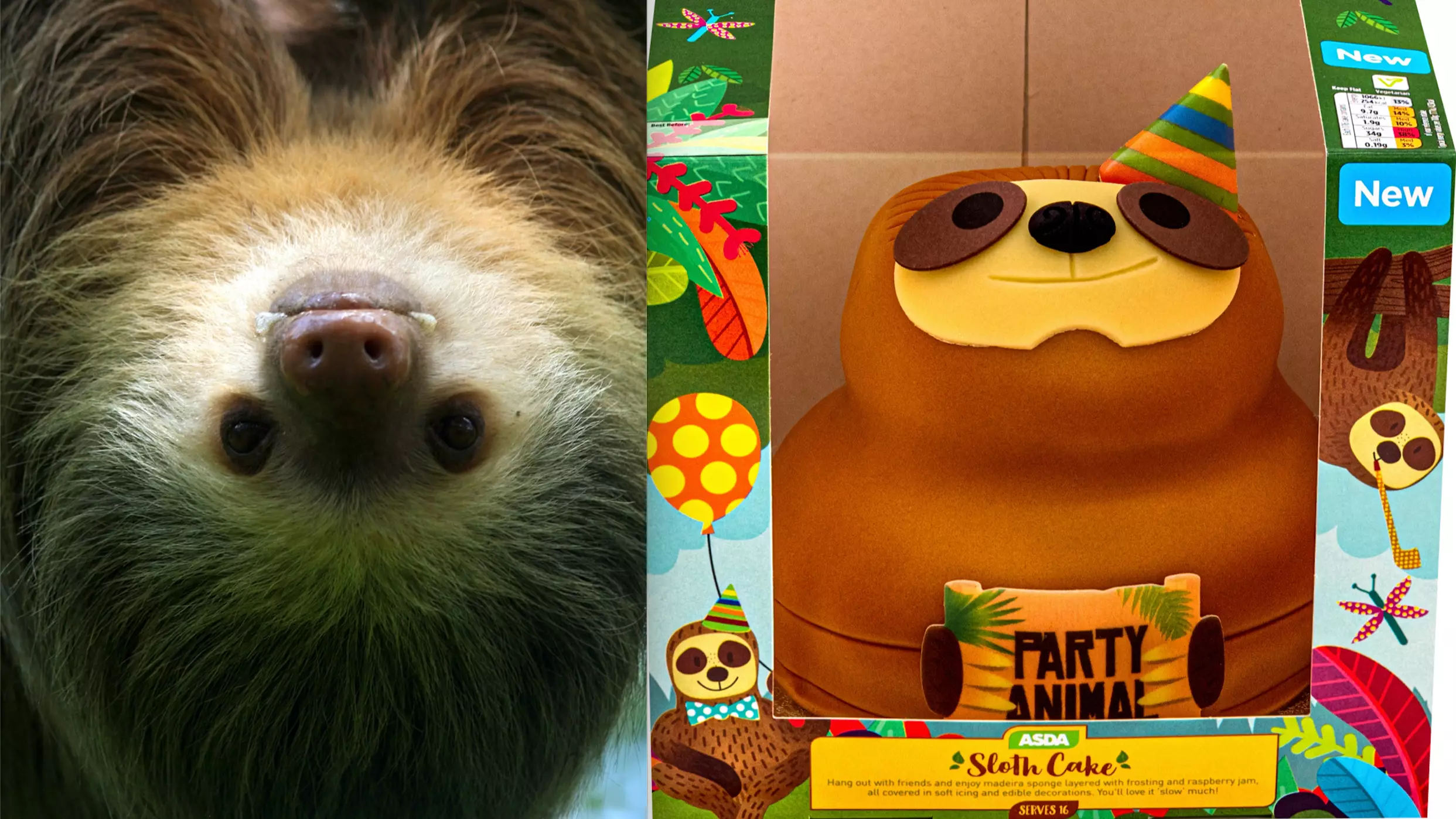 ASDA Has Launched A Sloth Cake And It’s Absolutely Adorable