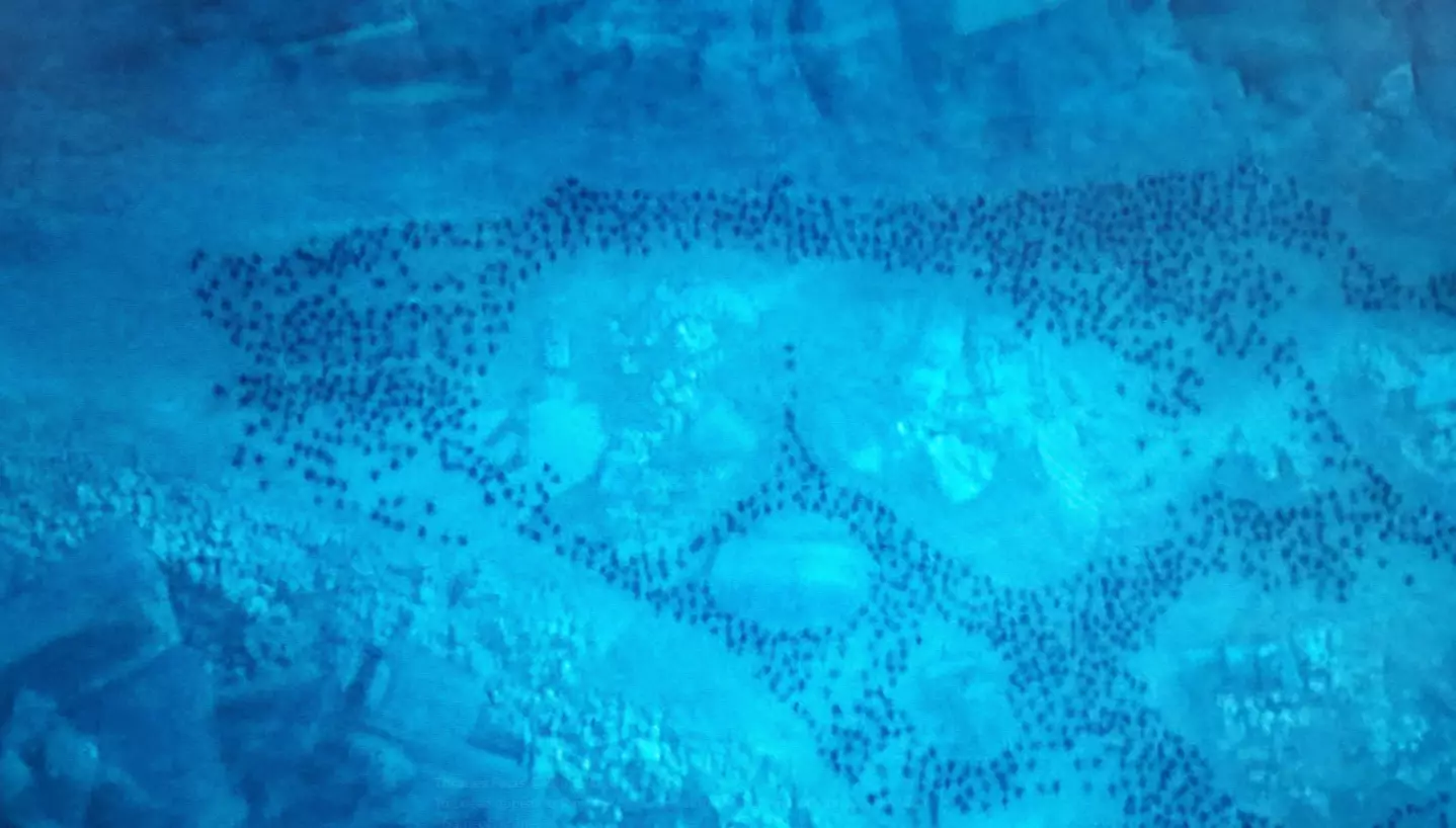 Army of the dead shaped like a Stark direwolf? Hmm...