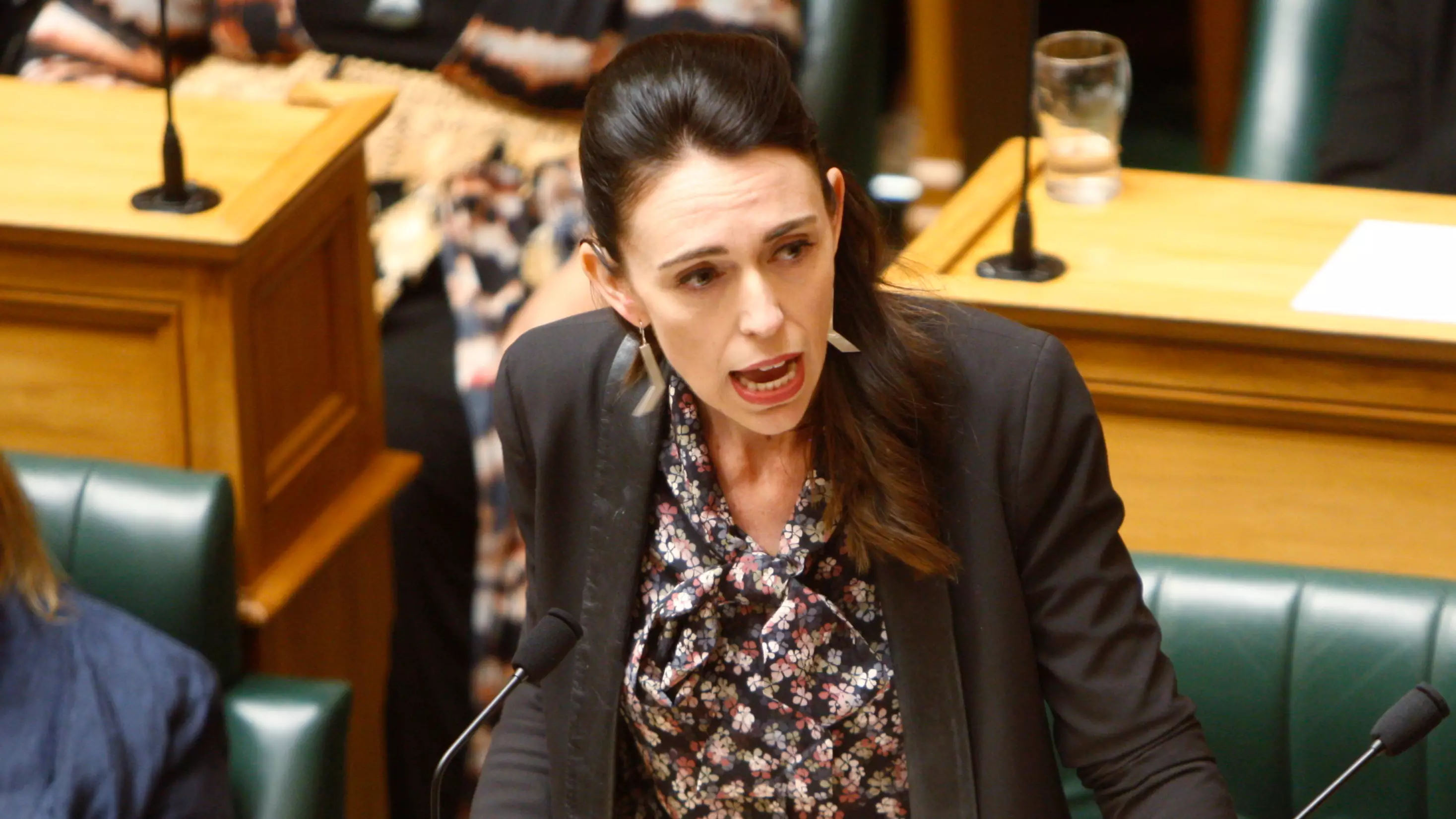 Jacinda Ardern Makes Incredible Speech As New Zealand Passes Zero Carbon Bill