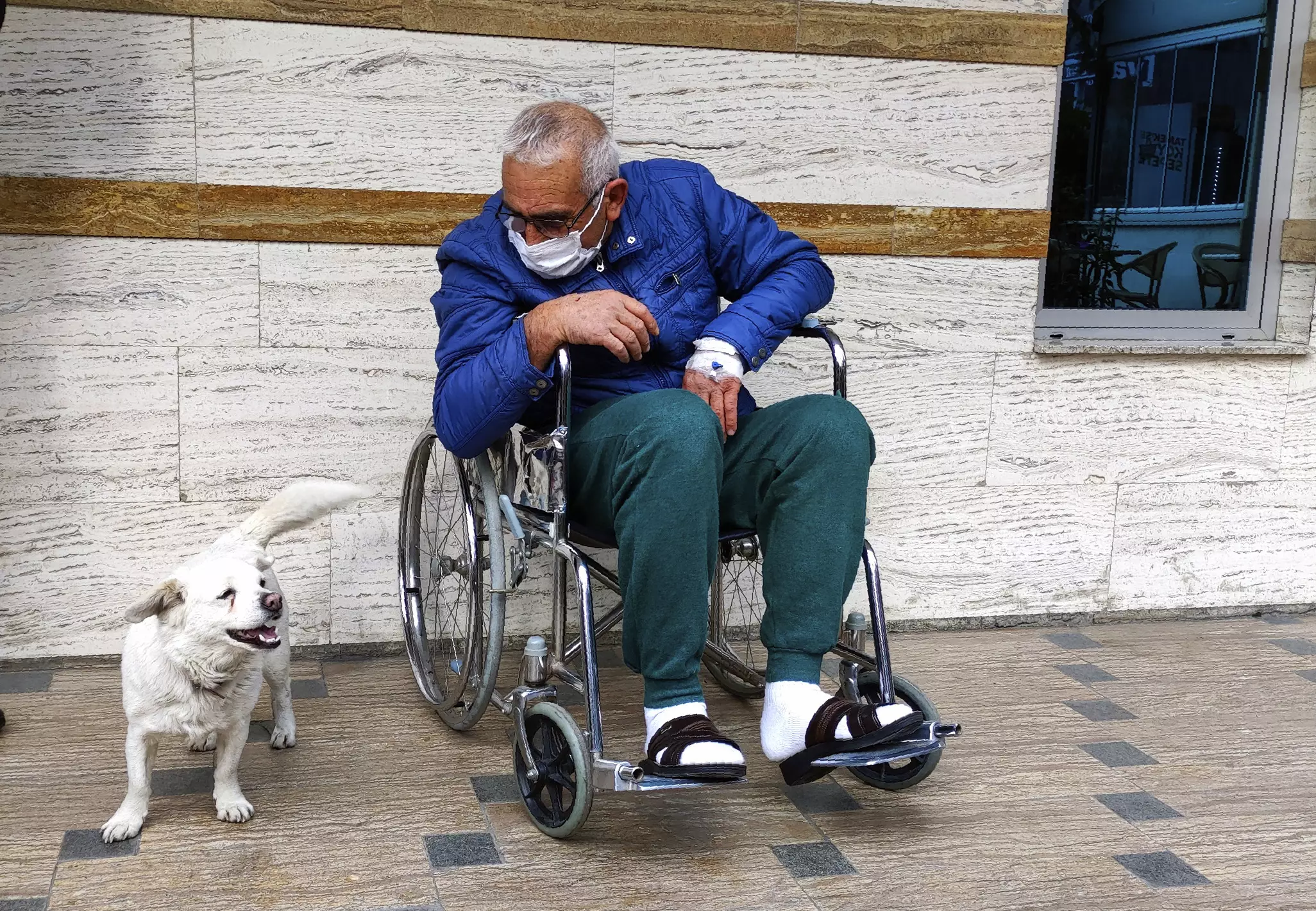 Cemal Senturk was reunited with his dog Boncuk (