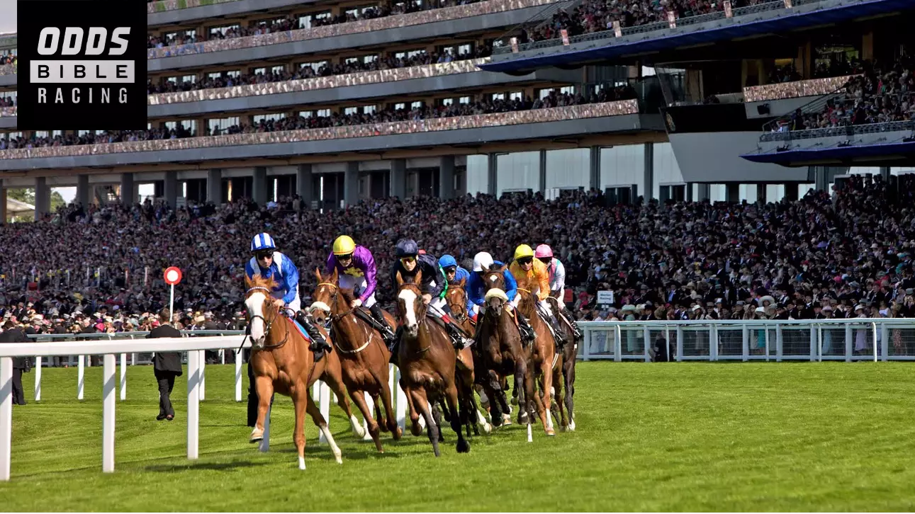 ODDSbibleRacing's Best Bets For Saturday's Action At Ascot, Curragh And More