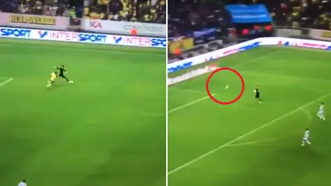 WATCH: Hugo Lloris Commits A Massive Blunder As Sweden Score In The Last Minute 