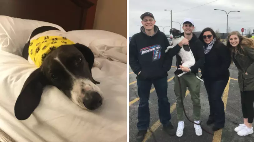 How These Football Fans Helped Unite Christian Pulisic With His Dog For Christmas