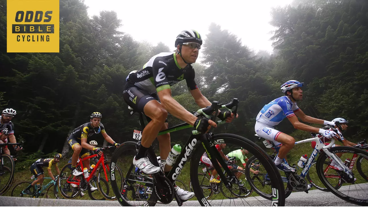 ODDSbible Cycling: Tour De France Stage Sixteen Betting Preview