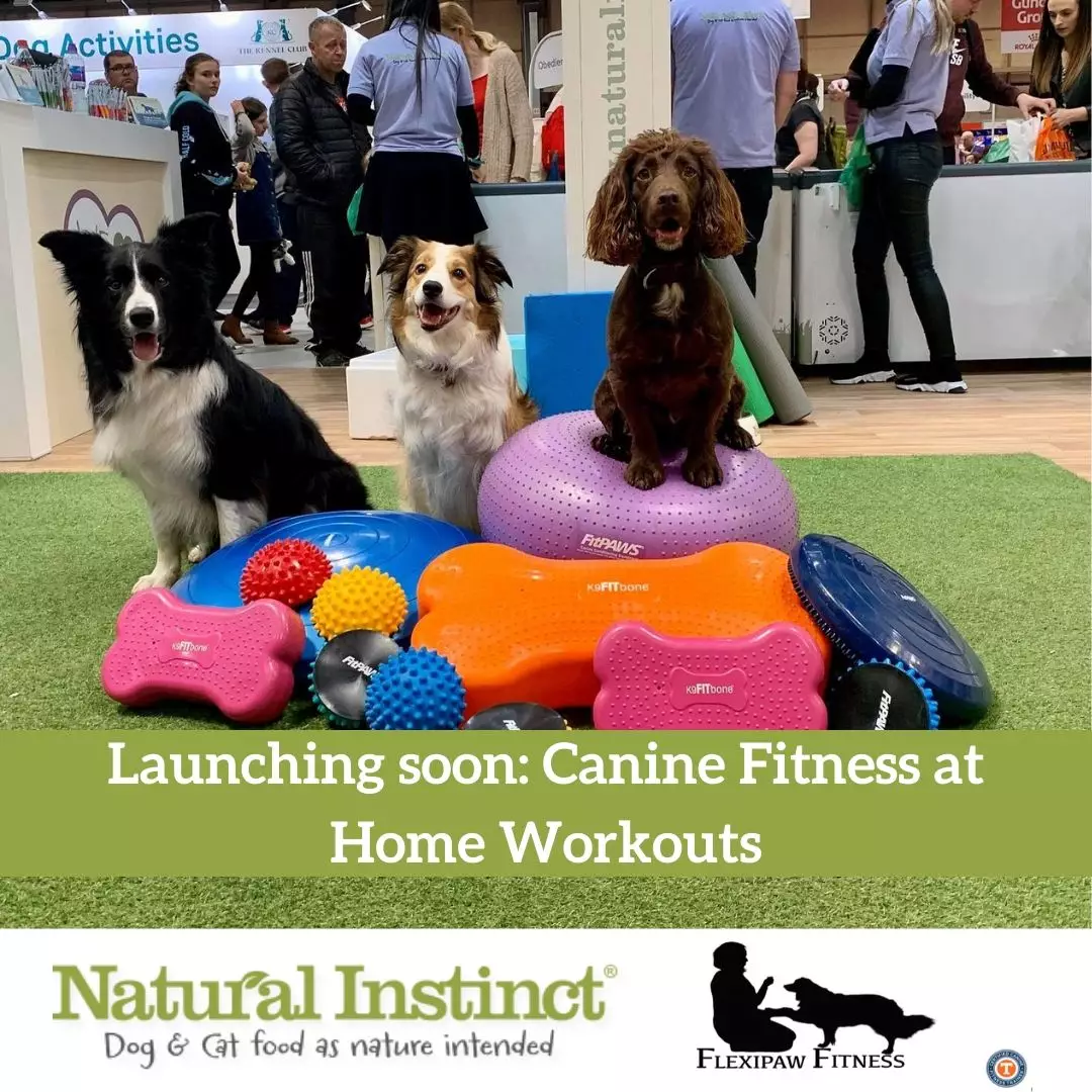 Fitness Expert Alison Pearce will lead UK pet owners and their dogs in a series of four easy-to-follow, effective and free workouts (
