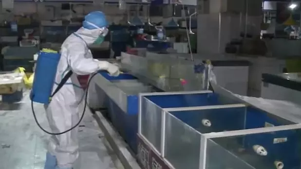 Rare Footage Shows Inside Of Beijing's Seafood Market