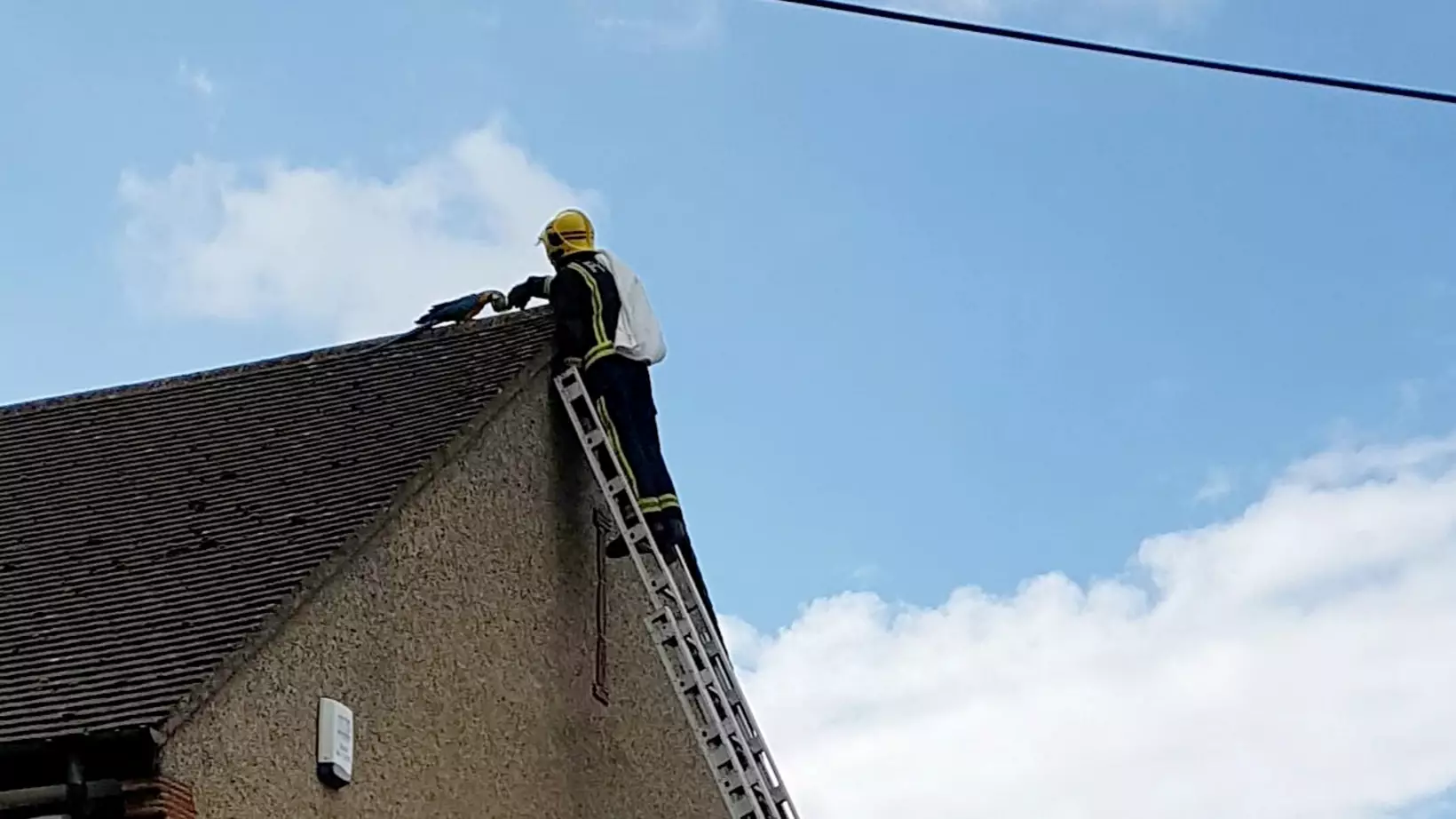 Parrot Trapped On Roof Keeps Telling Fire Crew To 'F*** Off'