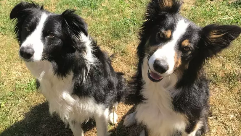 Tala (left) and her sister Harli (