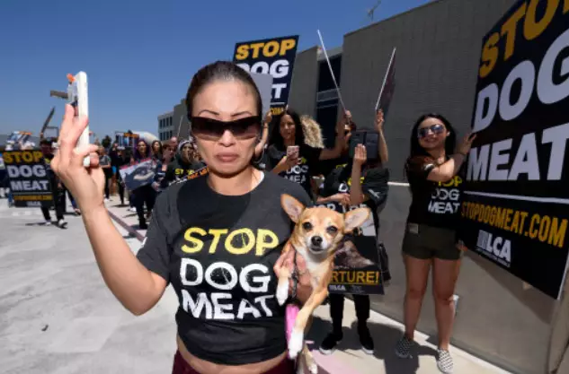 Anti Dog Meat Campaigners In The US.