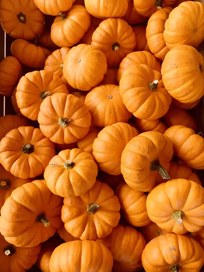 Pumpkin season is almost upon us (