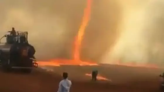 Bizarre Fire Tornado Filmed Ripping Through Farm In Brazil