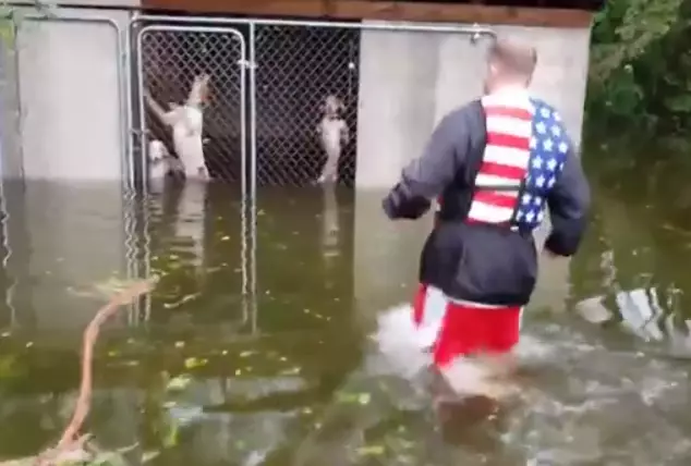 Rescuers saving abandoned dogs during Hurricane Florence.