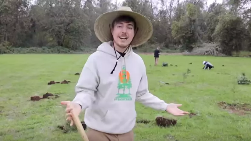 Group Of YouTubers Launch Fundraiser To Plant 20 Million Trees