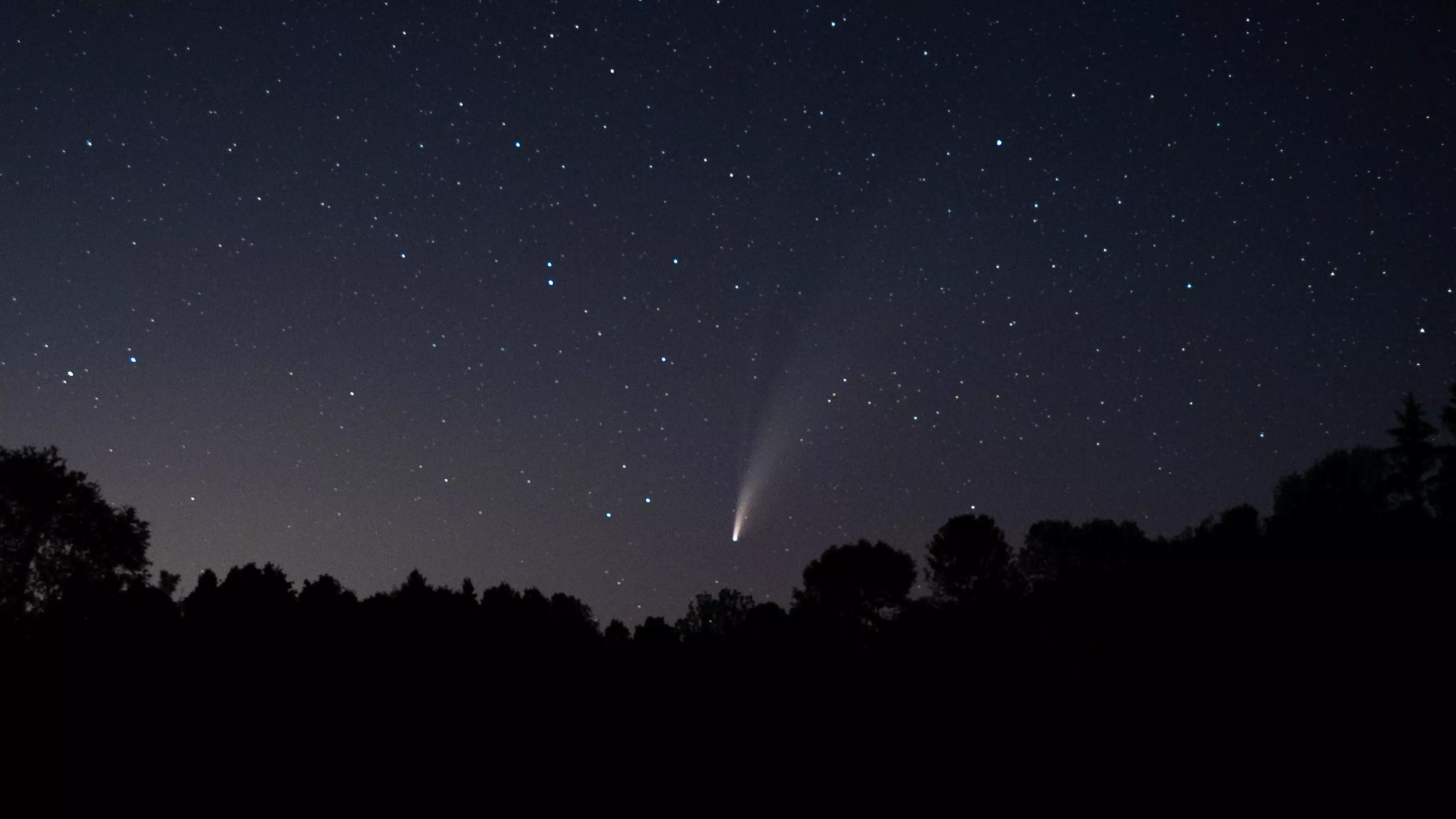Couple Get Engaged Under Rare Comet That Is Only Visible Every 6,800 Years