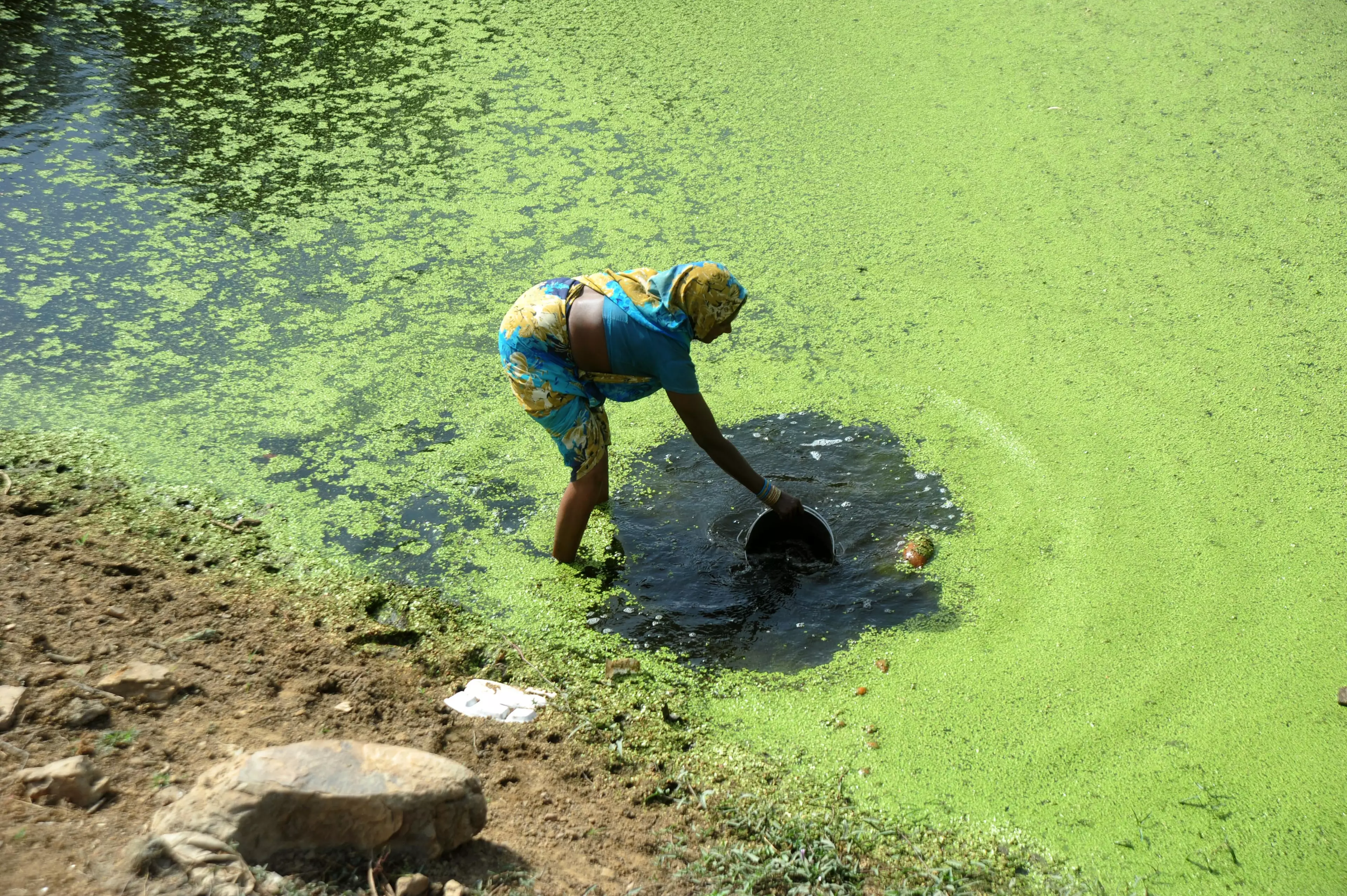 One of the many environmental issues plaguing India