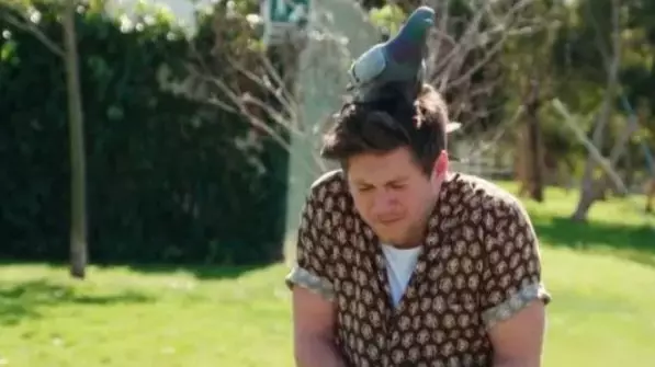 Niall Horan Gets Pooed On By Pigeon During Carpool Karaoke