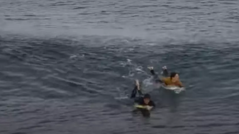 Footage Shows Moment Surfer Is Stalked In Water Before Attack