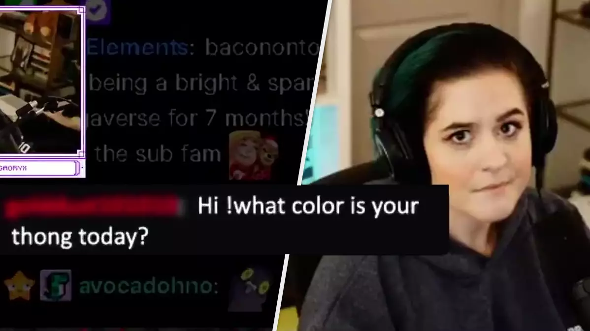 Streamer Brutally Shuts Down Viewer Who Sexually Harasses Her Mid-Stream