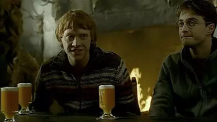 There's A Full-On Harry Potter Pub Crawl Coming To Dublin This Summer