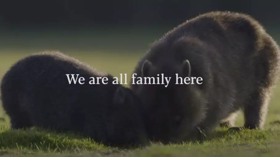New Tasmanian Tourism Ad Hilariously Says 'We Are All Family Here'