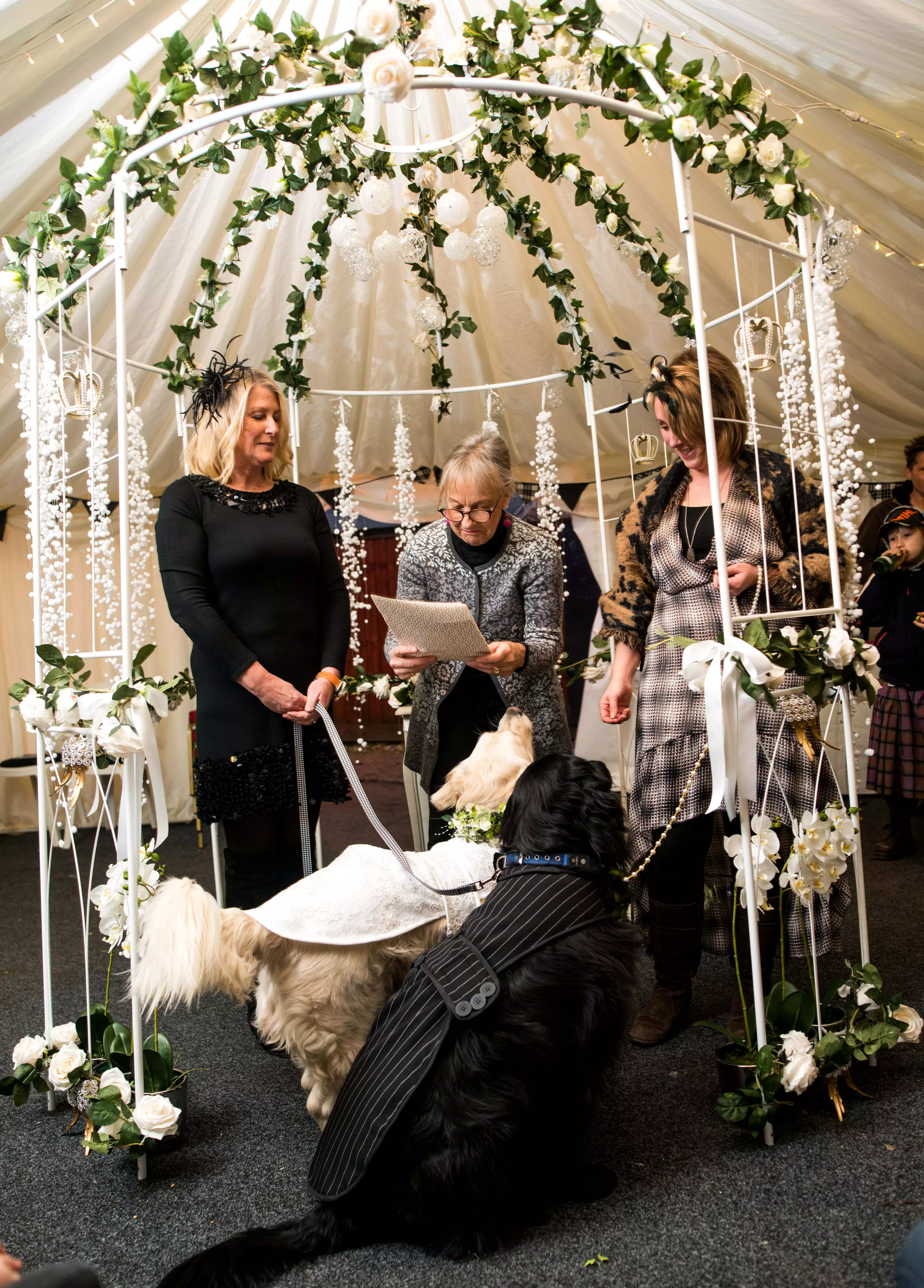 A couple of pooches had a very special walk down the aisle for their own ceremony. (