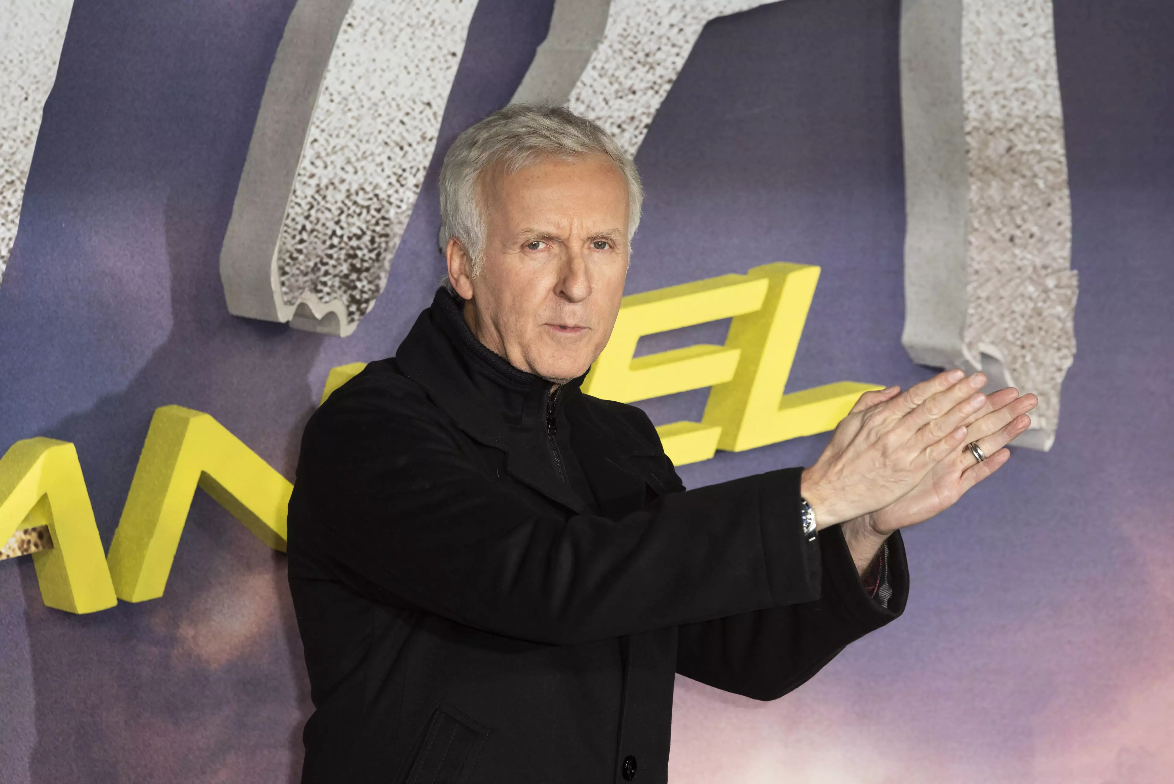 James Cameron is hopeful that Avatar 2 will still be ready in time for its 2021 release date.