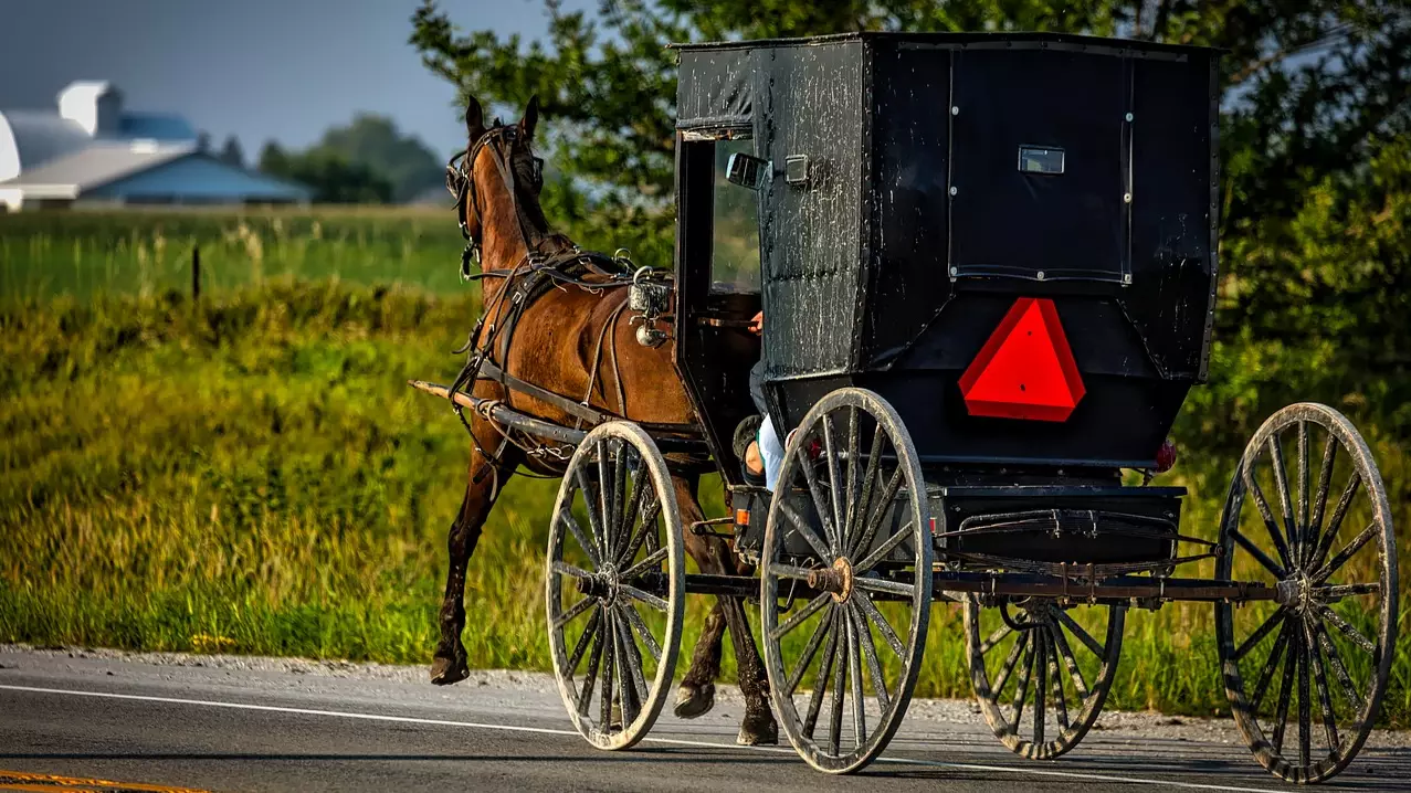 Police Looking For Two Drunk Amish Men Caught Drink Driving Horse And Cart