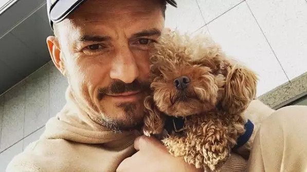 Orlando Bloom Confirms His Dog Mighty Is Dead And Gets Tattoo Tribute 