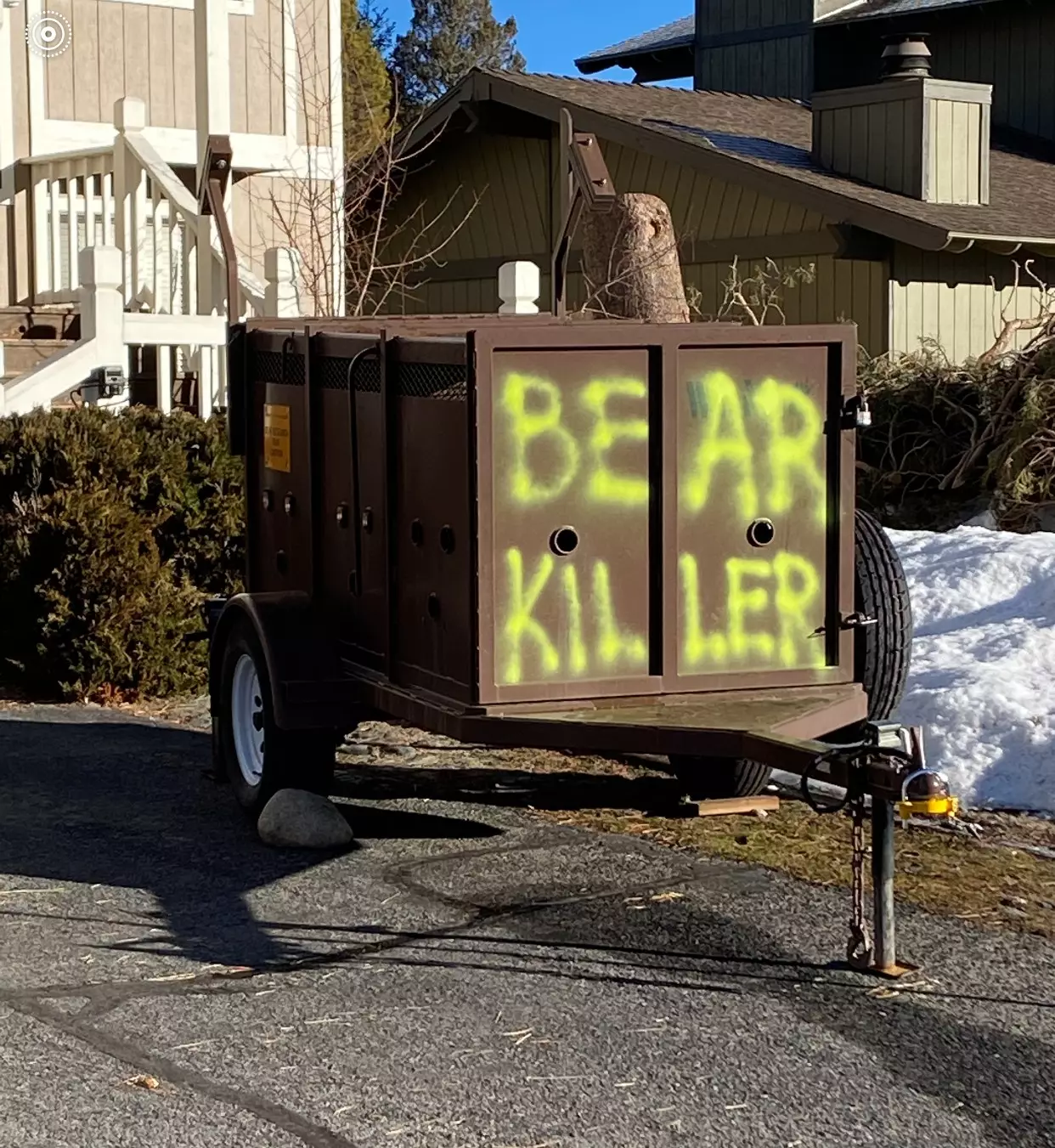 Some locals are staunchly against trapping and killing the bear.