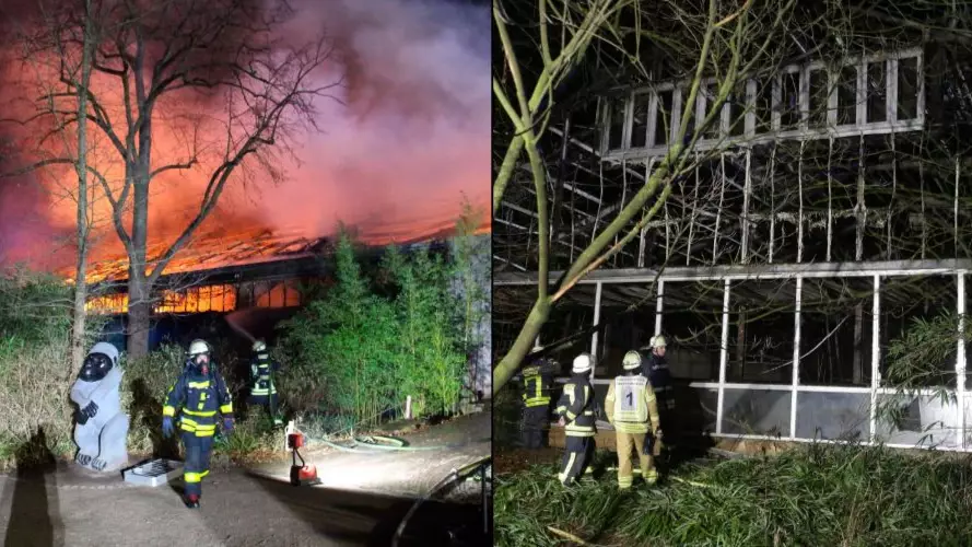 At Least 30 ​Animals Dead In New Year’s Eve Fire At German Zoo