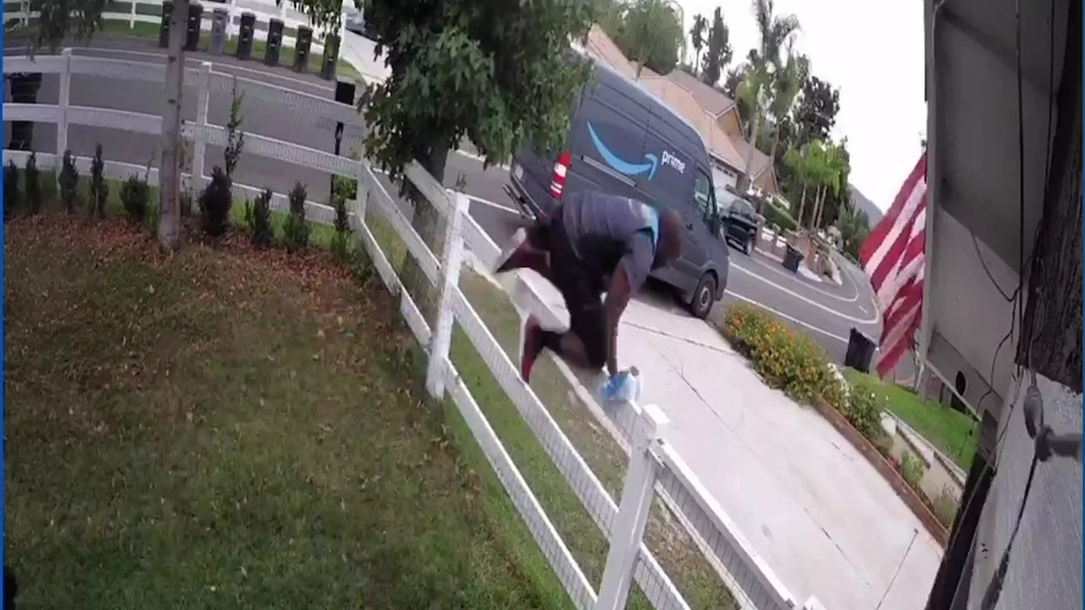 Amazon Delivery Driver Sprints And Leaps Over Fence After Seeing Huge Dog