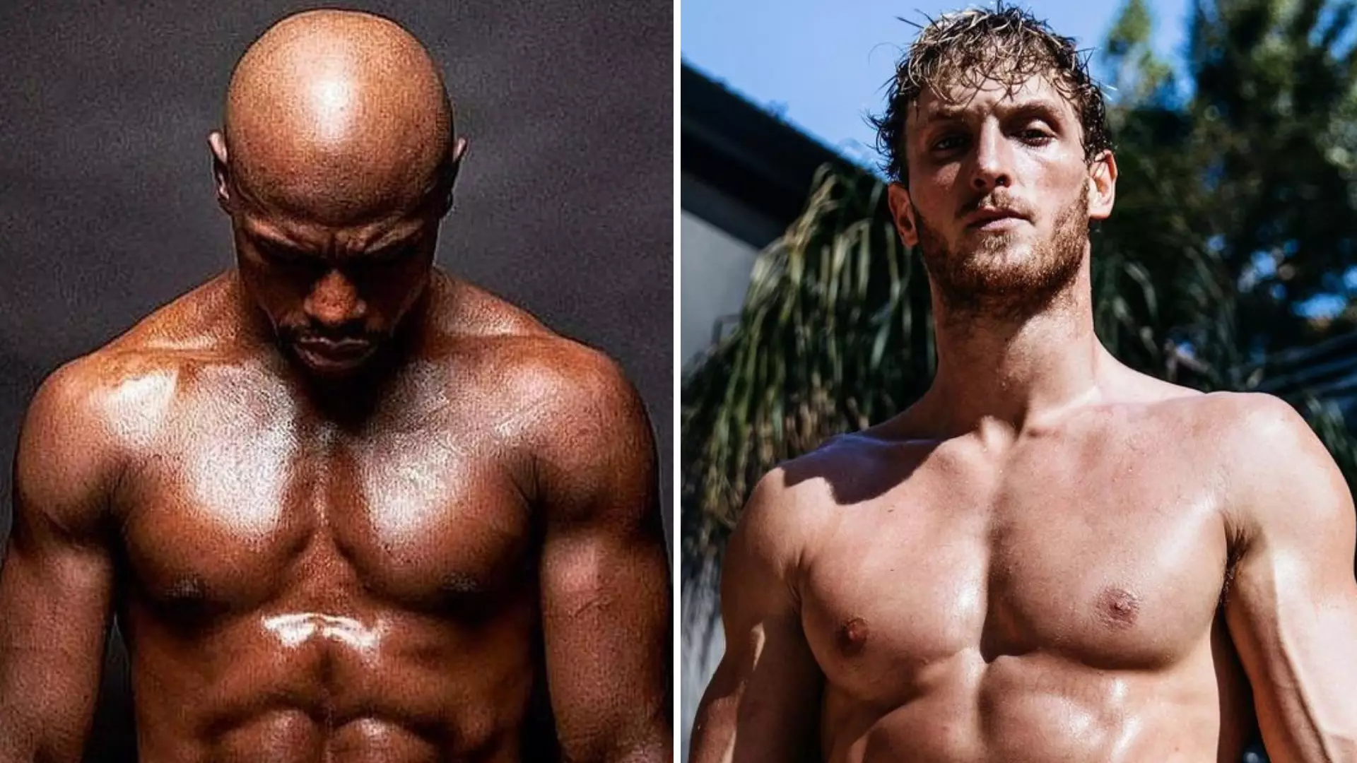 Floyd Mayweather Vs Logan Paul Predicted To Smash PPV Record For Richest Fight In History