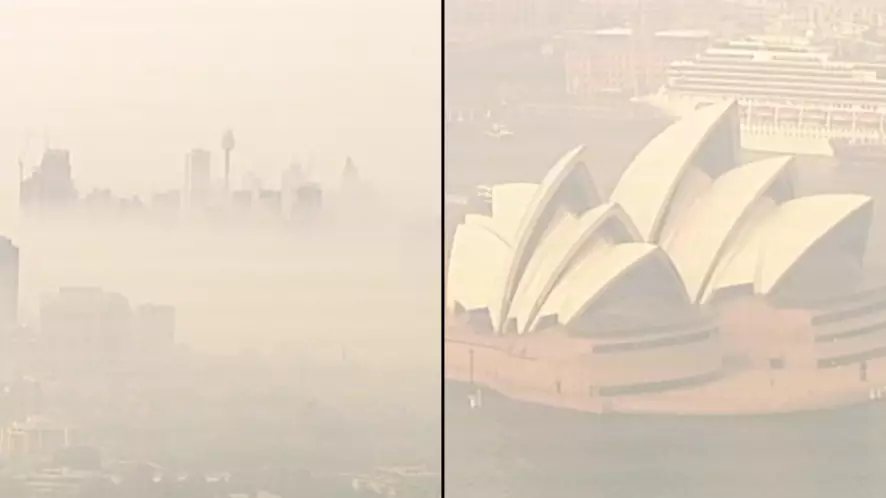 Sydney's Air Quality Is More Than 11 Times Above 'Hazardous' Level