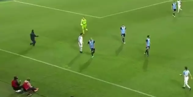Sydney FC Goalkeeper Escorts Injured Seagull Off The Pitch In Cup Final