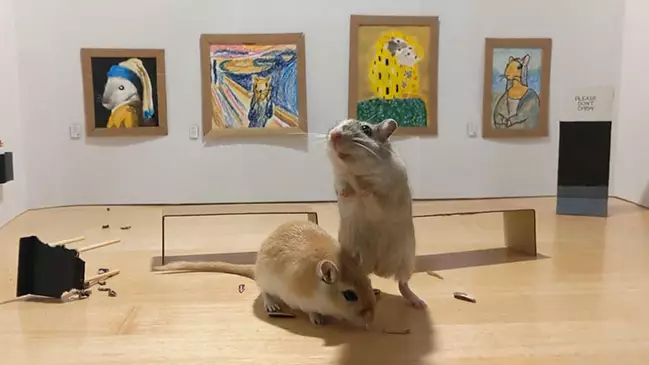 Self-Isolating Couple Build Mini Art Gallery For Their Pet Gerbils 