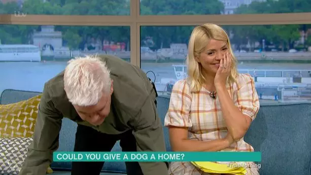 'This Morning' Viewers In Hysterics As Dog Goes To The Toilet Live On Air