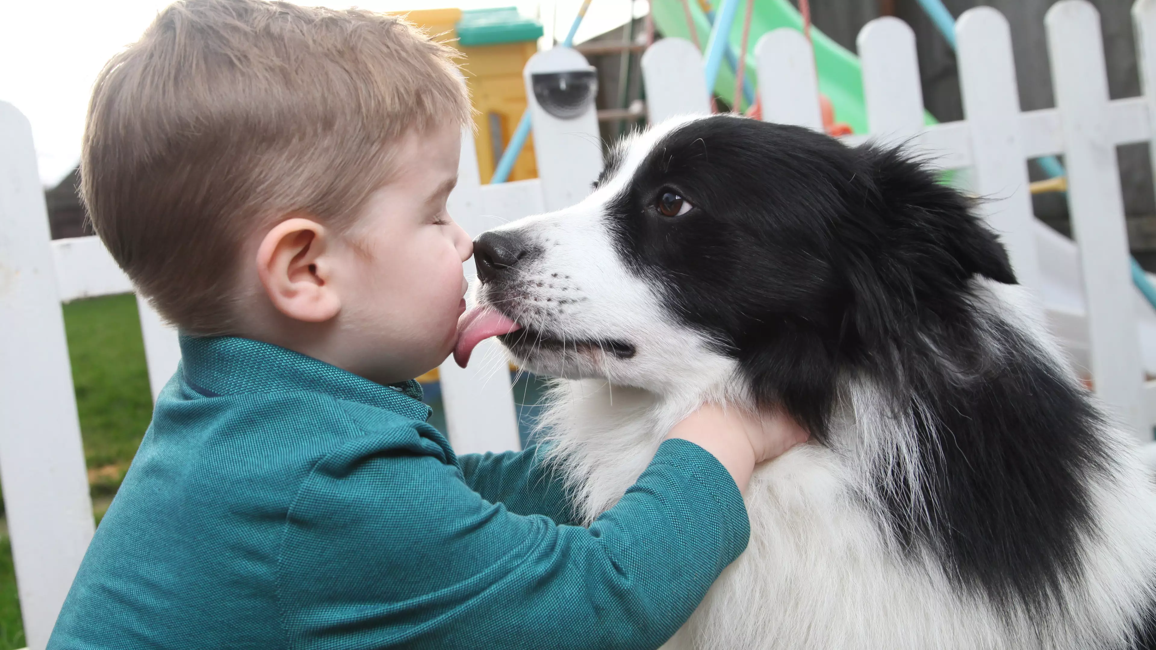 Toddler Loves His Dog So Much He Thinks They're Brothers