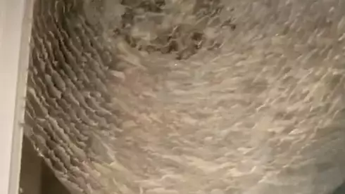 Woman Comes Home To Discover Huge Wasp Nest Built On Window