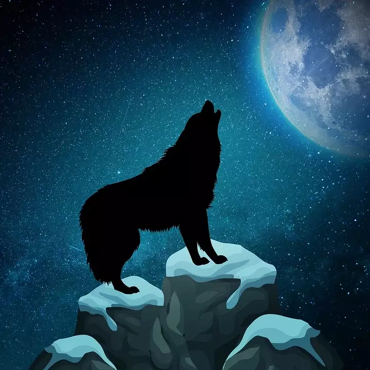 The Full Wolf Moon will bring forward change and evolution (