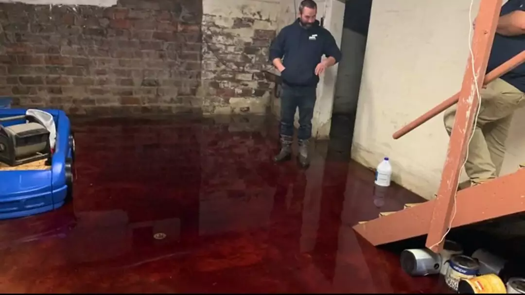 Family's Basement Fills With Blood And Guts 