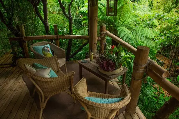 Amazing mini-Amazon garden