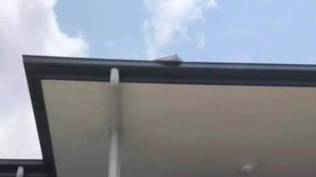 Aussie Fuming After Delivery Driver Threw Package Onto Roof