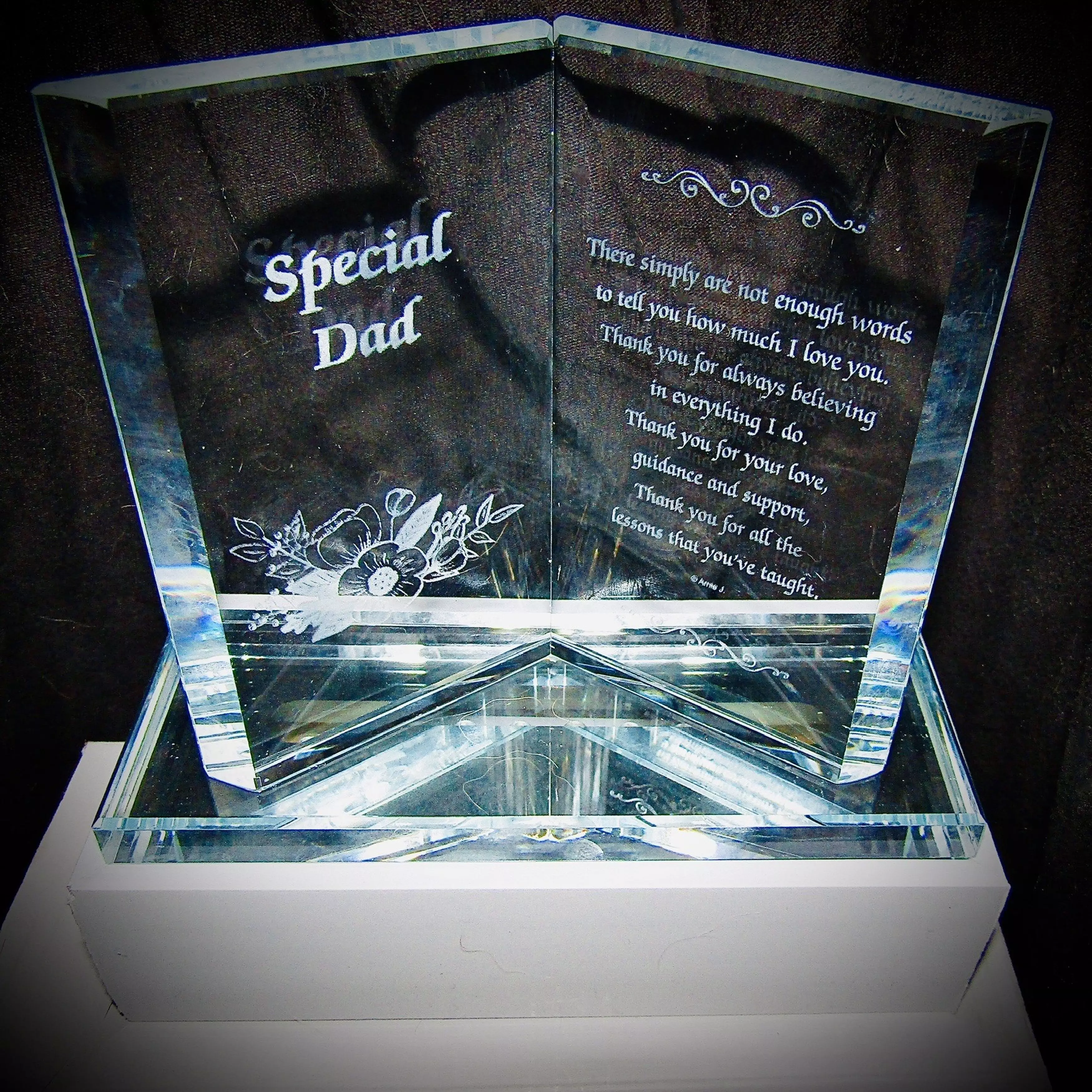 At 2am, Amber spotted a 'cute' £10.95 light-up plaque dedicated to a special dad, ordered it and even paid an extra £4 for speedy delivery (