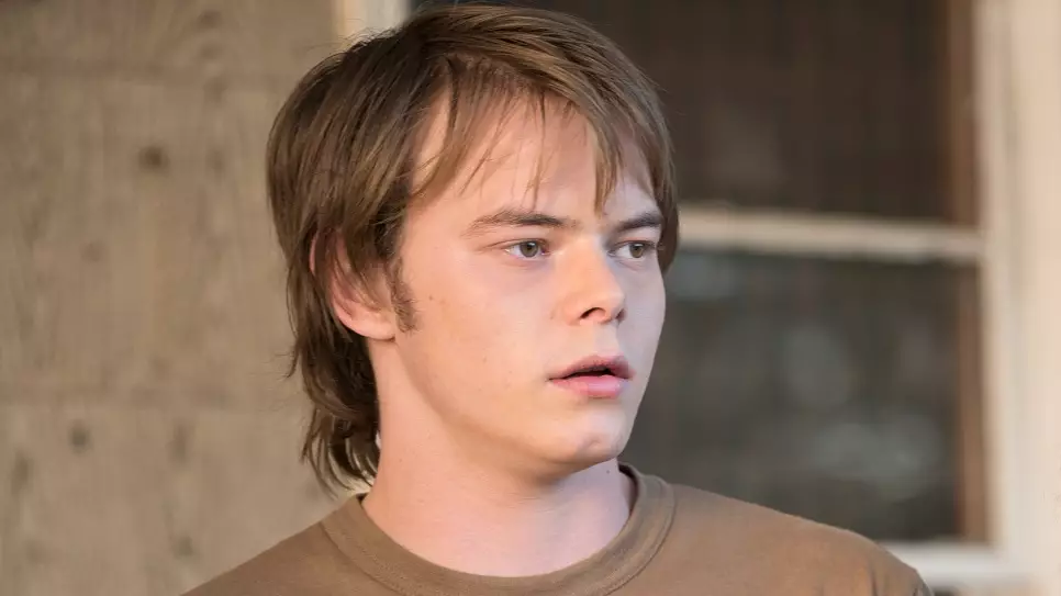 'Stranger Things' Actor Charlie Heaton 'Denied Entry Into US After Being Caught With Cocaine’