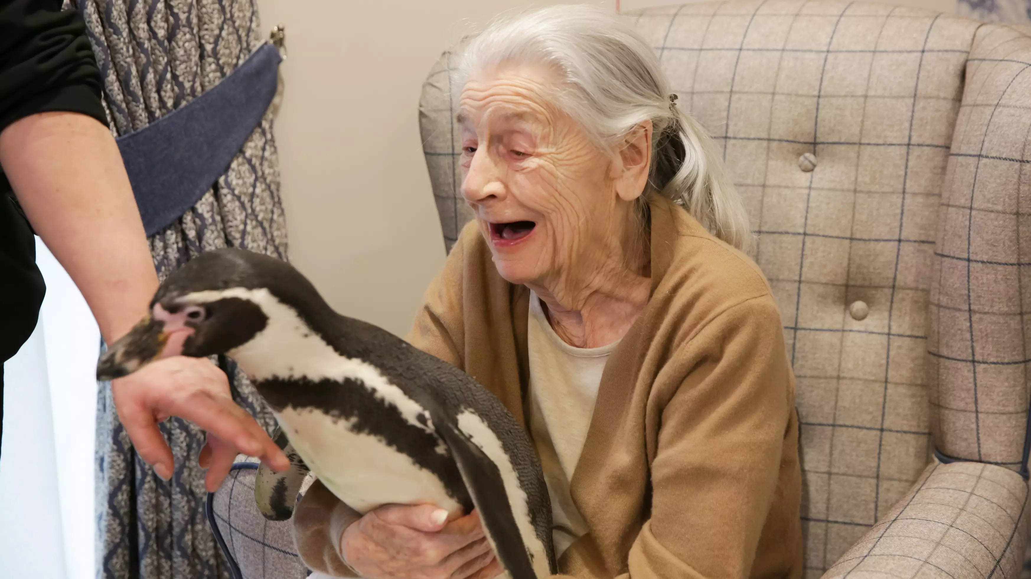 92-Year-Old's Wishes Come True As Penguins Visit Her In Care Home