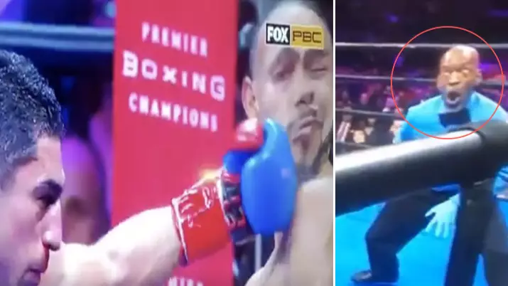 Boxing Ref Steve Willis Goes Viral Again For Another Priceless Reaction To Punch