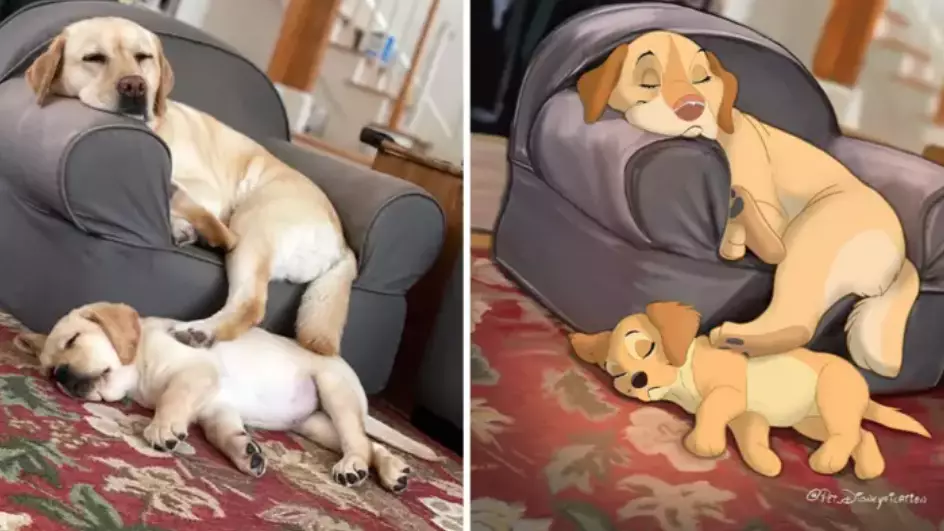 Dutch Artist Turning People's Pets Into Bespoke Disney Characters